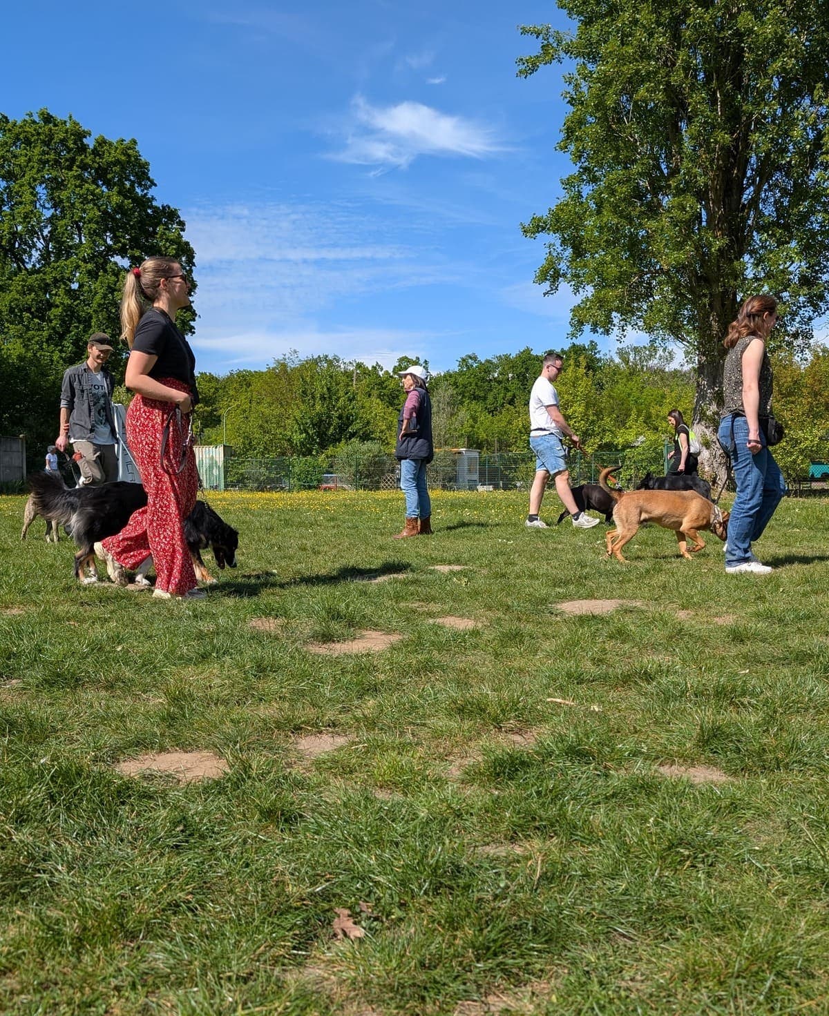 Cours collectif