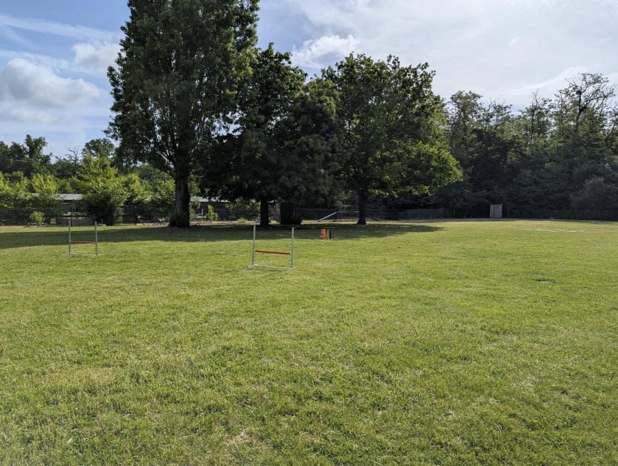 Club Beauchampois d'Éducation Canine